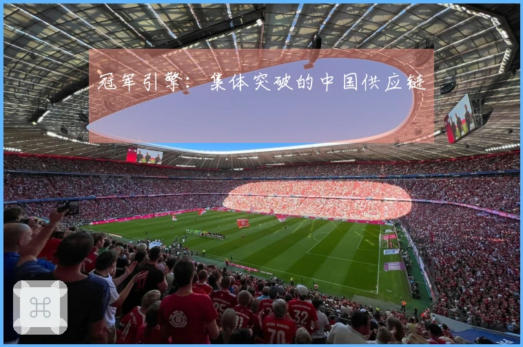 冠军引擎：集体突破的中国供应链